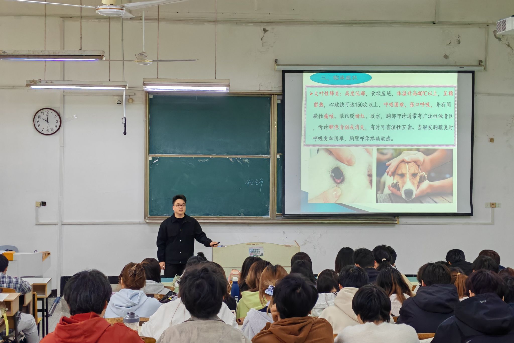 20260421动物科学学院动物医学系组织开展青年教师听课评课活动.jpg