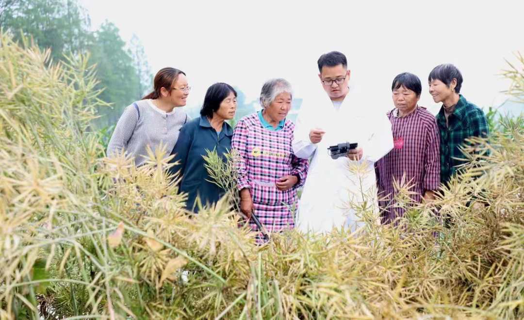 1683946548963242.jpg?x-oss-process=style/w10